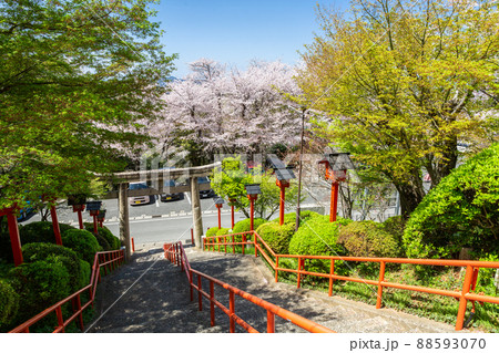 足立山妙見宮御祖神社と桜の風景 福岡県北九州市 足立山妙見宮御祖神社と桜の風景 福岡県北九州市 88593070