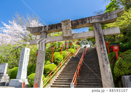 足立山妙見宮御祖神社と桜の風景 福岡県北九州市 足立山妙見宮御祖神社と桜の風景 福岡県北九州市 88593107