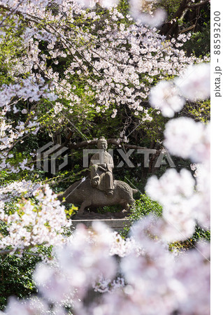 足立山妙見宮御祖神社和気清麻呂公の像 福岡県北九州市 足立山妙見宮御祖神社和気清麻呂公の像 福岡県北九州市 88593200