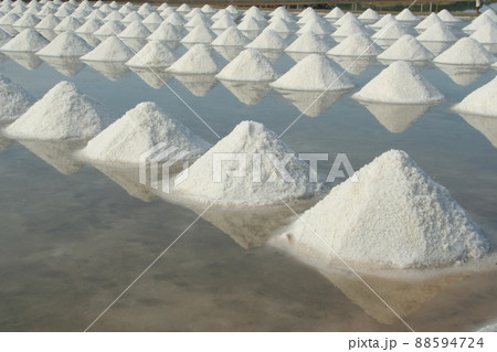 Rows of salt piles in salt-farm, Thailand. 88594724