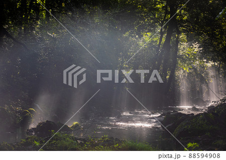 【山梨県・富士吉田市】 夏も涼しい憩い桂川・鐘山の滝 8月  88594908