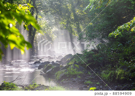 【山梨県・富士吉田市】 夏も涼しい憩い桂川・鐘山の滝 8月  88594909