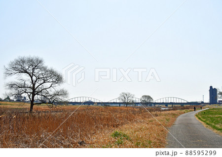 杜の都仙台 早春 広瀬川 八本松緑地 遊歩道 杜の都仙台 早春 広瀬川 八本松緑地 遊歩道 88595299