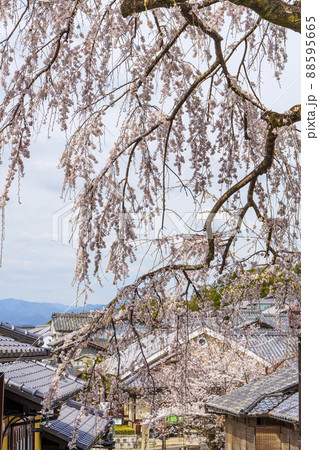 京都　五条坂　松原通り・清水寺の参道 88595665