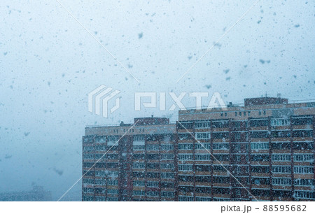 Close-up of a snowy frosty winter morning. Snowing Close-up of a snowy frosty winter morning. Snowing 88595682
