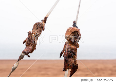 quail on skewers against the backdrop of the sea. Shashlik quail on skewers against the backdrop of the sea. Shashlik 88595775