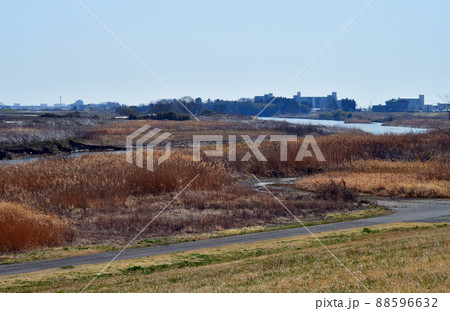 杜の都仙台 早春 名取川への合流地点 広瀬川右岸から 杜の都仙台 早春 名取川への合流地点 広瀬川右岸から 88596632