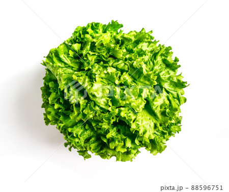Lettuce salad isolated on a white background 88596751