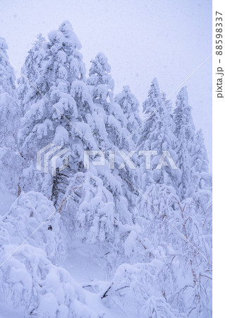《北海道》豪雪地帯の樹氷・冬の十勝岳 88598337
