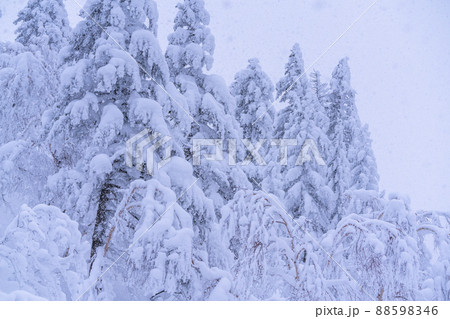 《北海道》豪雪地帯の樹氷・冬の十勝岳 88598346