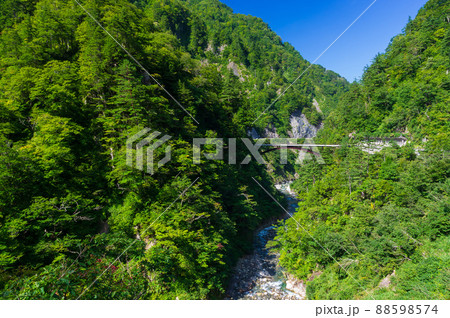 白山白川郷ホワイトロード　蛇谷大橋 88598574