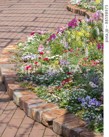 春のガーデン 88598975