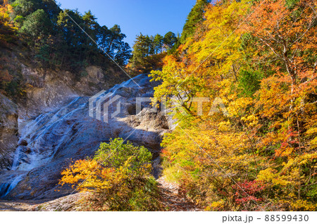 白山白川郷ホワイトロード 姥ヶ滝の紅葉 白山白川郷ホワイトロード 姥ヶ滝の紅葉 88599430