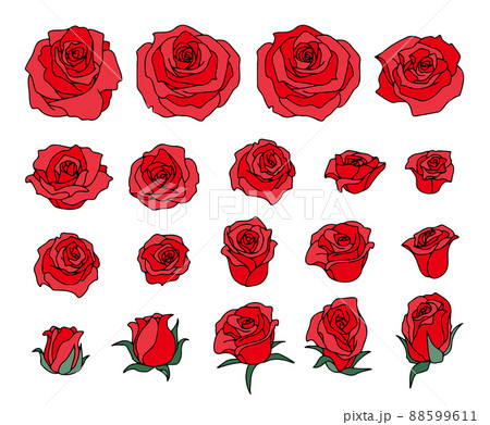 薔薇の花 セット 茎、葉無しのイラスト素材 [88599611] - PIXTA