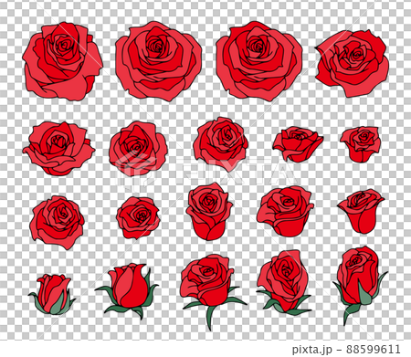 薔薇の花 セット 茎、葉無しのイラスト素材 [88599611] - PIXTA