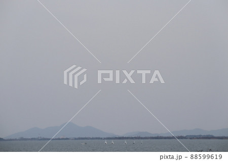 青空とヨットとボートの浮かぶ琵琶湖と樹々の森と建物と霞む山並みの見える風景 88599619