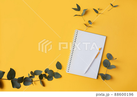 Eucalyptus leaves and a notebook with a pencil on a yellow background. Top view. Flat lay. Place for text, copy space. Eucalyptus leaves and a notebook with a pencil on a yellow background. Top view. Flat lay. Place for text, copy space. 88600196