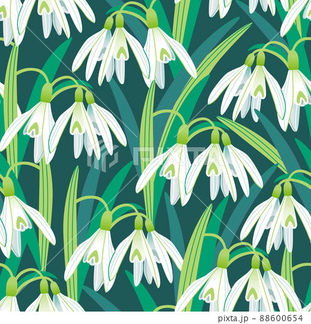 Vector Seamless Pattern With Blooming Snowdrops のイラスト素材