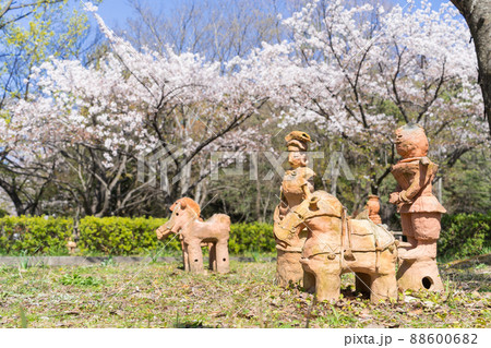 桜の季節の味見二子山古墳と埴輪 桜の季節の味見二子山古墳と埴輪 88600682