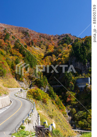 白山白川郷ホワイトロード　紅葉 88600769