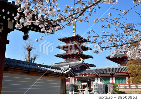 四天王寺(五重塔)　【大阪府大阪市天王寺区】 88600963