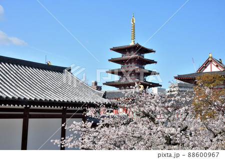 四天王寺(五重塔) 【大阪府大阪市天王寺区】 四天王寺(五重塔) 【大阪府大阪市天王寺区】 88600967