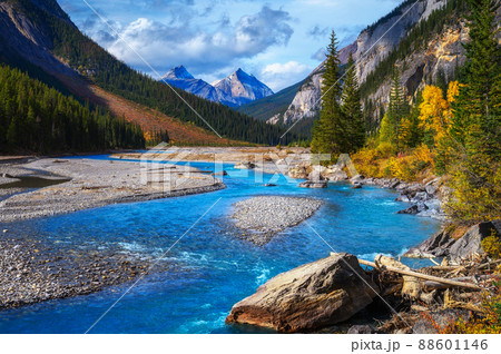 River flowing along the Icefields Pkwy in Banff National Park, Canada 88601146