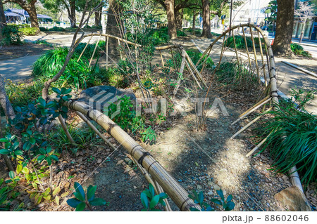 芝公園おもてなしの庭（東京都港区） 88602046