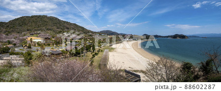 桜が咲く広島県呉市上蒲刈町の県民の浜 88602287