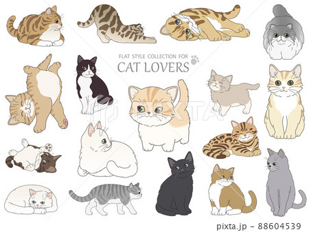 猫のフラットなイラストセット 88604539