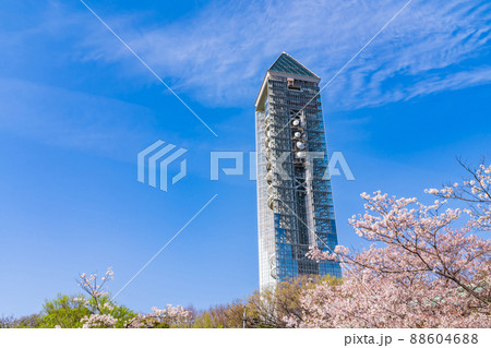 東山スカイタワー、満開の桜〈愛知県名古屋市〉 88604688