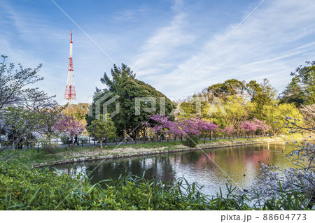県立三ツ池公園の風景【神奈川県・横浜市】 県立三ツ池公園の風景【神奈川県・横浜市】 88604773