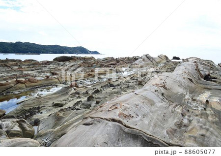 高知　竜串海岸 88605077