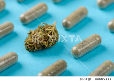 CBD cannabis flower bud among capsules pattern 88605333