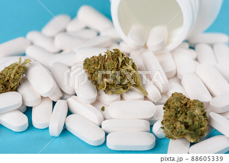 CBD cannabis flower buds on heap of capsules from open bottle on blue background CBD cannabis flower buds on heap of capsules from open bottle on blue background 88605339