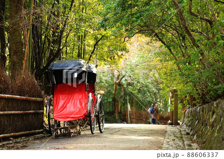 無人の嵐山の竹林と人力車 竹林の小径と木漏れ日 88606337