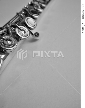 シルバーのフルート3 シルバーのフルート3 88607023