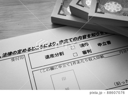 遺産分割調停 家事調停 相続 家庭裁判所 調停 審判 申立書 遺産分割調停 家事調停 相続 家庭裁判所 調停 審判 申立書 88607076