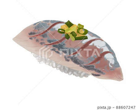 握り寿司・アジ 握り寿司・アジ 88607247