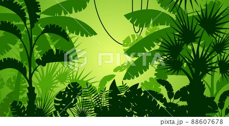 Tropical Forest Background With Exotic Palm のイラスト素材