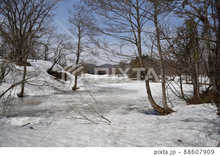 春の裏磐梯 春の裏磐梯 88607909