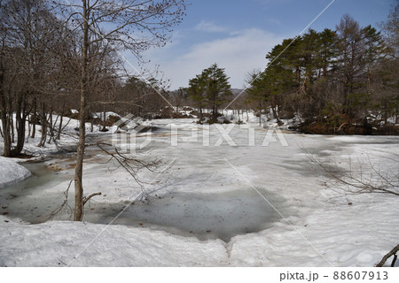 春の裏磐梯 88607913