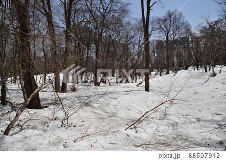 春の裏磐梯 春の裏磐梯 88607942