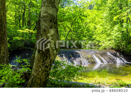 【秋田県・桃洞横滝】自然豊かな秘境・桃洞横滝（とうどうよこ滝）6月 88608010
