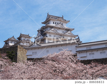 姫路城と桜 88608833