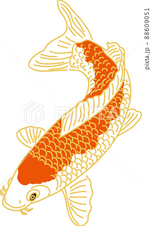 鯉_赤_左向きのイラスト素材 [88609051] - PIXTA