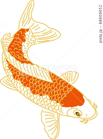 鯉_赤_右向き 鯉_赤_右向き 88609052