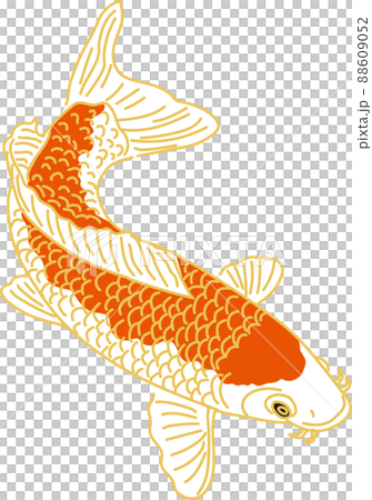 Carp_red_rightward 88609052