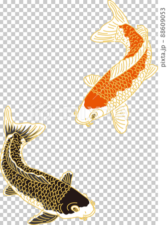 Carp_upper red carp_lower black carp 88609053