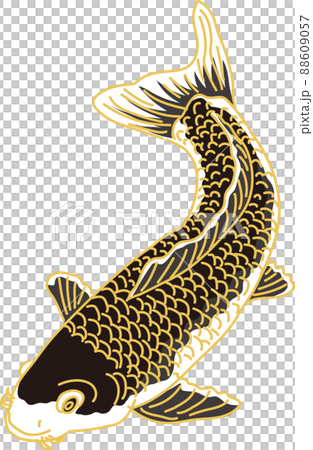 Carp_black_leftward 88609057